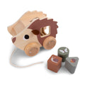 Wooden pull-along sorter toy