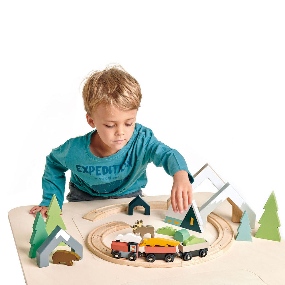 Wooden train